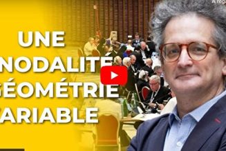 Une synodalité à géométrie variable – Richard de Sèze