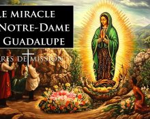 Terres de Mission : Le miracle de Notre-Dame de Guadalupe