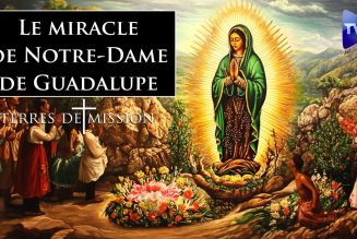 Terres de Mission : Le miracle de Notre-Dame de Guadalupe