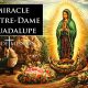 Terres de Mission : Le miracle de Notre-Dame de Guadalupe