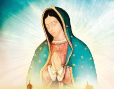 Guadalupe : Mère de l’Humanité