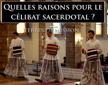 Terres de Mission : Quelles raisons pour le célibat sacerdotal ?