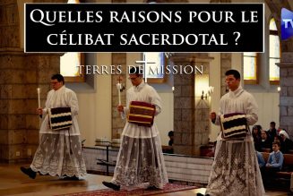 Terres de Mission : Quelles raisons pour le célibat sacerdotal ?