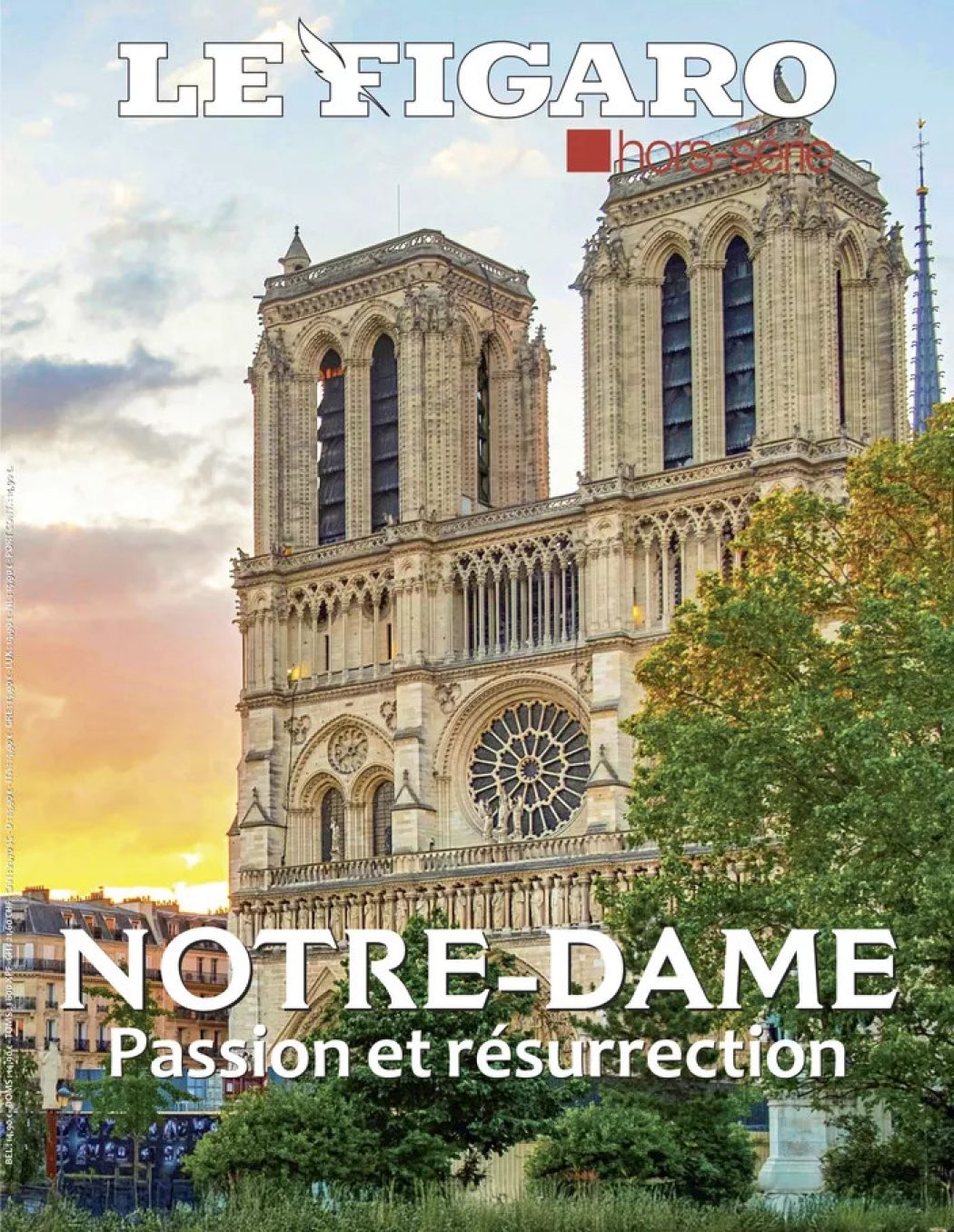 “Notre-Dame s’offre désormais à nous comme un apologue pour dire à notre monde désorienté que nul n’est enfermé dans la fatalité”