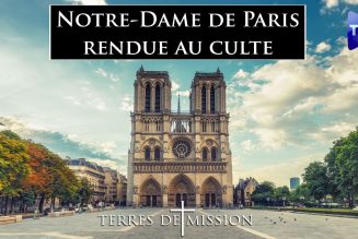 Terres de Mission : Notre-Dame de Paris rendue au culte