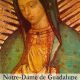 L’étonnante histoire des apparitions de Guadalupe