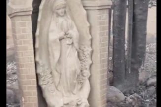 Los Angeles : au milieu du sinistre, une statue de la Vierge Marie