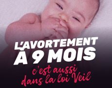Suivez la Marche pour la vie en direct