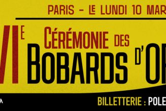 Bobard d’or décerné à l’AFP pour l’inversion accusation lors du meurtre d’Élias