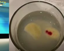 Un nouveau miracle eucharistique aux Etats-Unis ?