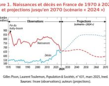 Le grand remplacement n’existe pas mais la croissance démographique “est essentiellement portée par l’immigration”