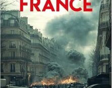 Douce France: le roman de notre descente aux enfers