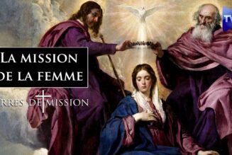 Terres de Mission : Une vision chrétienne de la mission de la femme