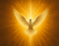 (Re)découvrir la présence et la puissance de l’Esprit Saint dans notre vie !
