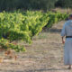 Ouverture du premier Musée des Vignobles d’Abbayes