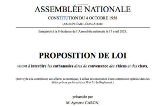 Aymeric caron dépose une proposition de loi pour interdire l’euthanasie…