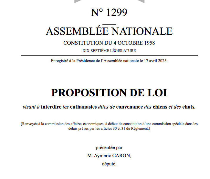Aymeric caron dépose une proposition de loi pour interdire l’euthanasie…