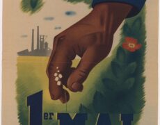Même le muguet est pétainiste !