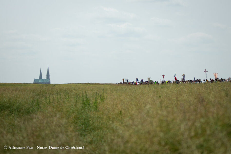 Les photos du pèlerinage de Notre-Dame de Chrétienté sont en ligne