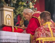 “Le rite traditionnel de la Sainte Messe est le rite qui est toujours nouveau, toujours à jour, jamais démodé”