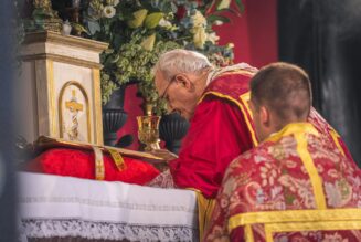 “Le rite traditionnel de la Sainte Messe est le rite qui est toujours nouveau, toujours à jour, jamais démodé”