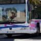 En France, ce sont les personnes agressées qui ont des ennuis avec les autorités