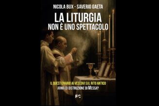 Traditionis custodes : Un nouveau livre confirme le rapport officiel du Vatican