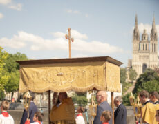 La 11ème édition du renouveau du Grand Sacre d’Angers : un succès brûlant !