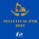 Votez pour le prix de la Pelleteuse d’or