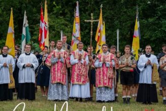 50 ans des Europa Scouts