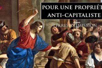 Une troisième voie entre libéralisme et socialisme ?