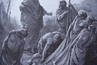 Quatrième dimanche après la Pentecôte : “ils laissèrent tout et le suivirent”