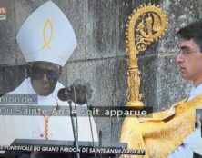 Pour revoir la messe célébrée par le cardinal Sarah