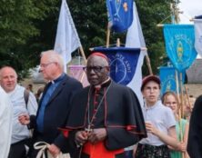 Cardinal Sarah : « Ne profanez pas la France ! »