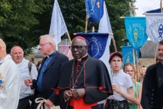Cardinal Sarah : « Ne profanez pas la France ! »