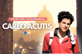 La sainteté en 3 jours avec Carlo Acutis : spéciale canonisation !
