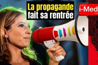 Léa Salamé au 20h de France 2 : promotion ou propagande ?