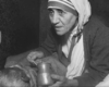 9 jours avec Mère Teresa pour apprendre à aimer !