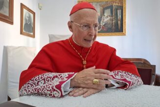 “Je n’ai jamais vu, et je ne vois toujours pas, comment la forme extraordinaire du rite romain pourrait créer des problèmes”