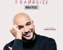 Couleur framboise, le nouveau spectacle de Mehdi Djaadi sur l’infertilité