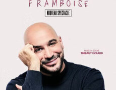 Couleur framboise, le nouveau spectacle de Mehdi Djaadi sur l’infertilité