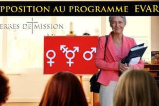 Les problèmes de l’éducation sexuelle obligatoire à l’école