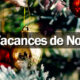 Le ministère de l’Education nationale renonce à renommer les vacances de la Toussaint et de Noël