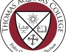 Les romans que les conservateurs veulent que vous lisiez