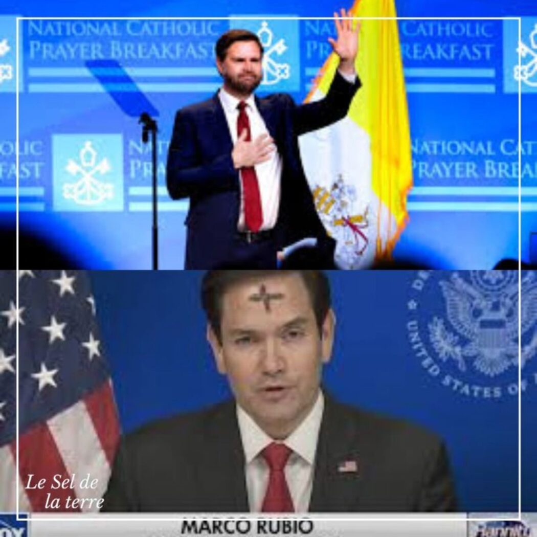 Les conservateurs post-libéraux américains : révolution ou contre-révolution durable ?