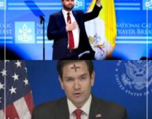 Les conservateurs post-libéraux américains : révolution ou contre-révolution durable ?