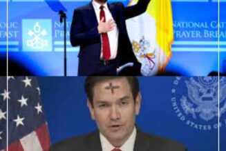 Les conservateurs post-libéraux américains : révolution ou contre-révolution durable ?