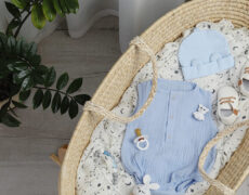 “La chute de la natalité, à laquelle s’ajoute l’inertie démographique, rendent extrêmement urgentes des réformes pragmatiques”