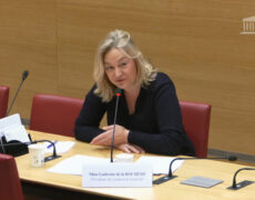 Crise de la natalité : le Syndicat de la famille témoigne auprès des parlementaires