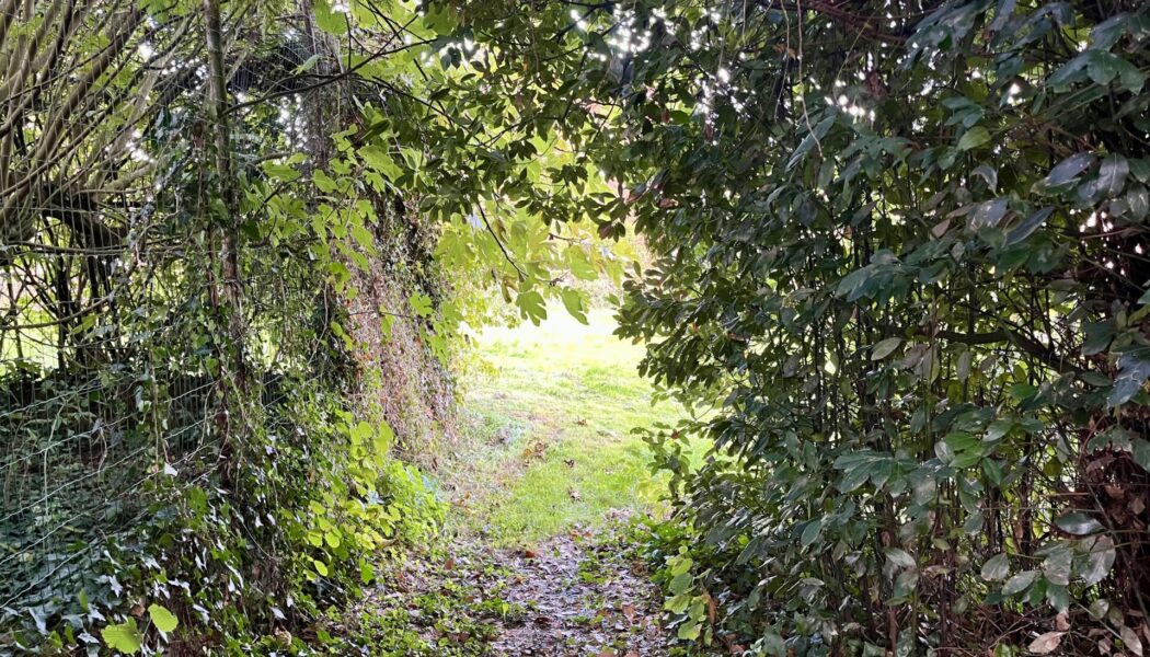 Maison Vendéenne à 40mn du Puy du Fou et 1h de la Rochelle